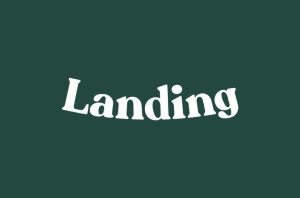 Landing (2)
