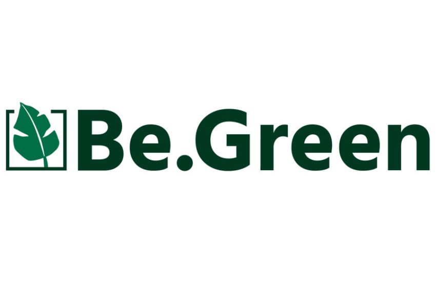 Discover Your New Favorite Plant Shop | Be Green Has Everything You Need