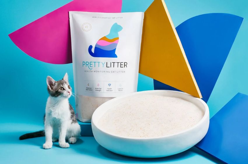 PrettyLitter | The Future of Litter Boxes for Cats Everywhere